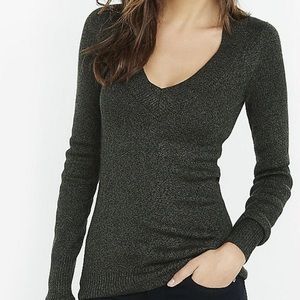 Express fitted V-neck sweater